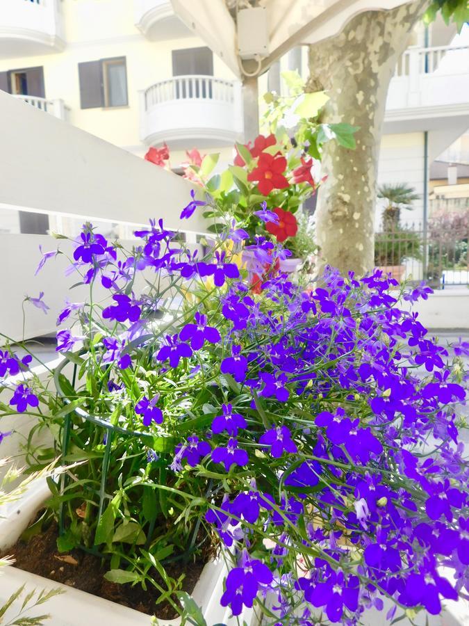 Hotel Dolores Rimini Exterior foto